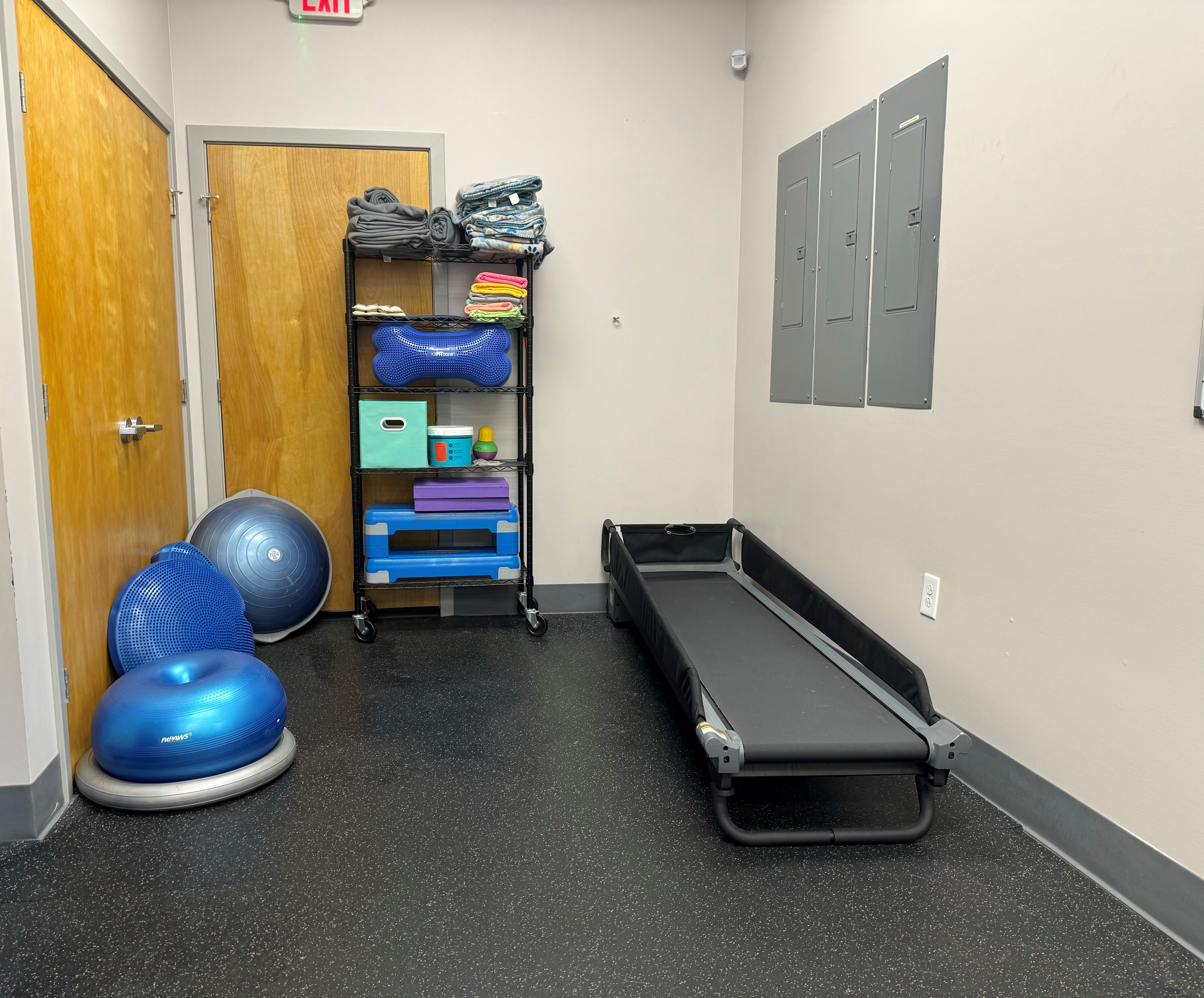 Treadmill area with balance balls