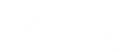 Hopkinton Animal Hospital Logo Hopkinton Animal Hospital Logo