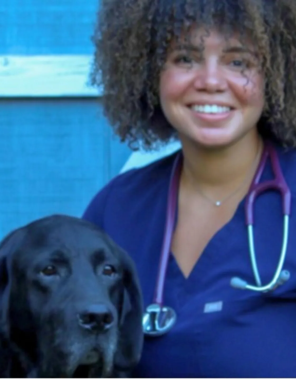 Lauren N. Dorsey Lauren N. Dorsey