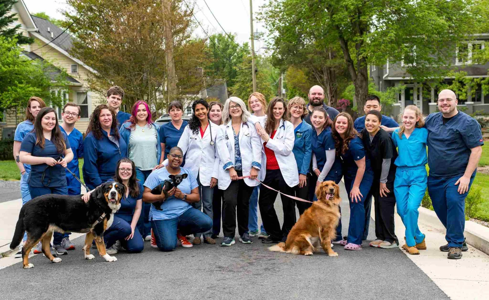 A group photo of all the staff at Alpine Veterinary Hospital out front of the hospital