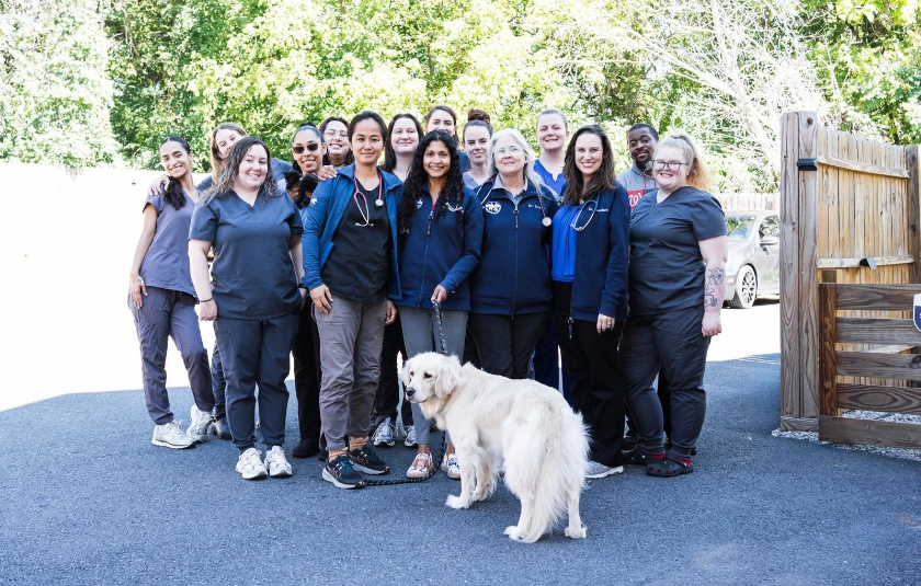 A group photo of all the staff at Alpine Veterinary Hospital out front of the hospital