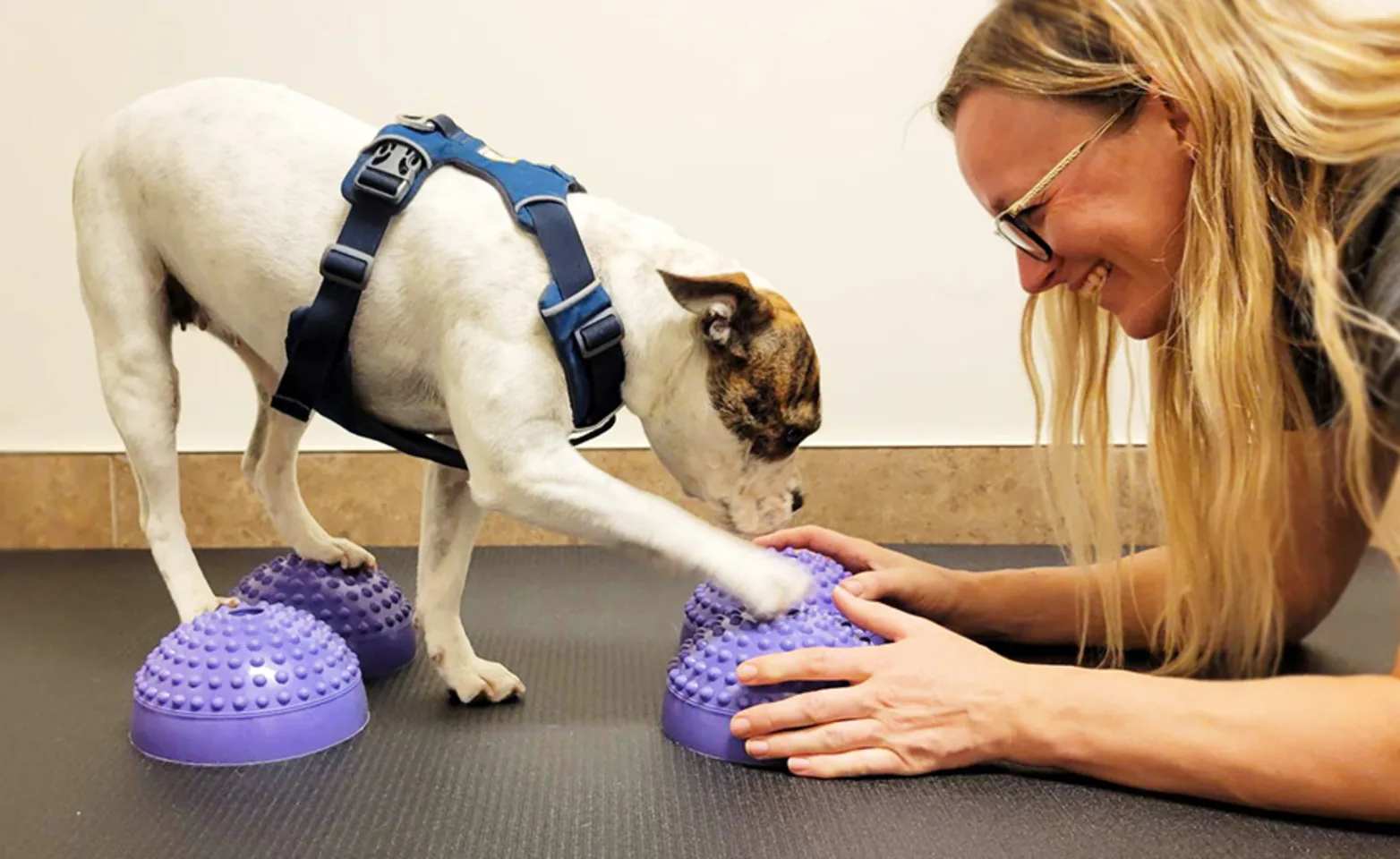A photo of Vanessa Dubeau, CCRP helping a dog A photo of Vanessa Dubeau, CCRP helping a dog
