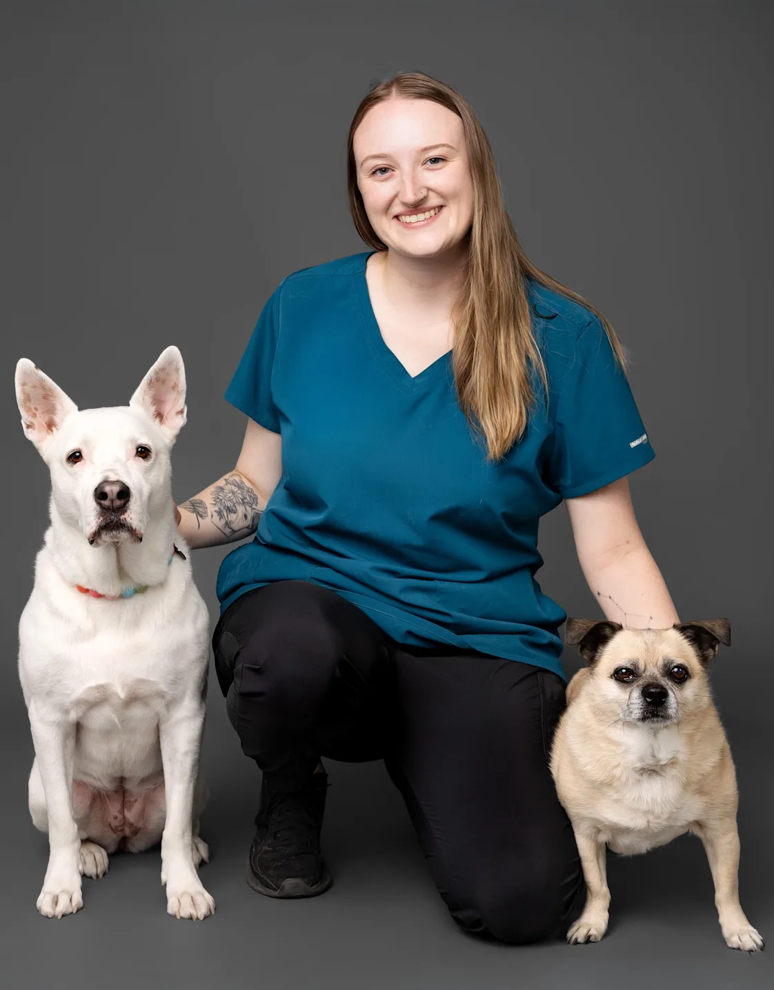 Pencil outline drawing of puppy Pencil outline drawing of puppy