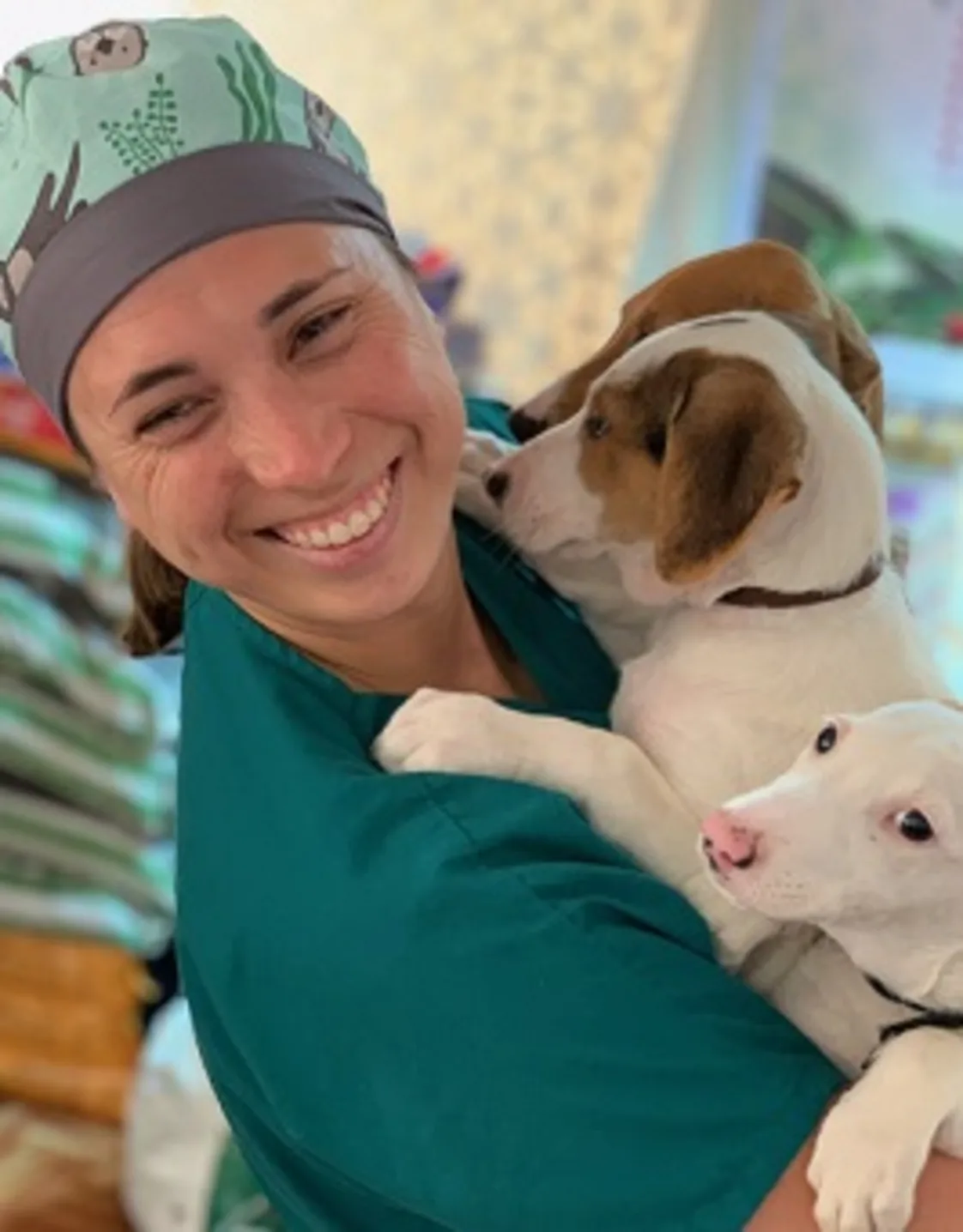 Dr. Heather Jue, neuroscience specialist and Medical Director at Valley Veterinary Emergency Dr. Heather Jue, neuroscience specialist and Medical Director at Valley Veterinary Emergency