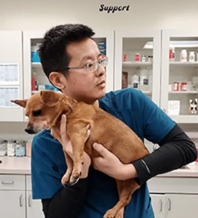 Dr. Chang with a dog