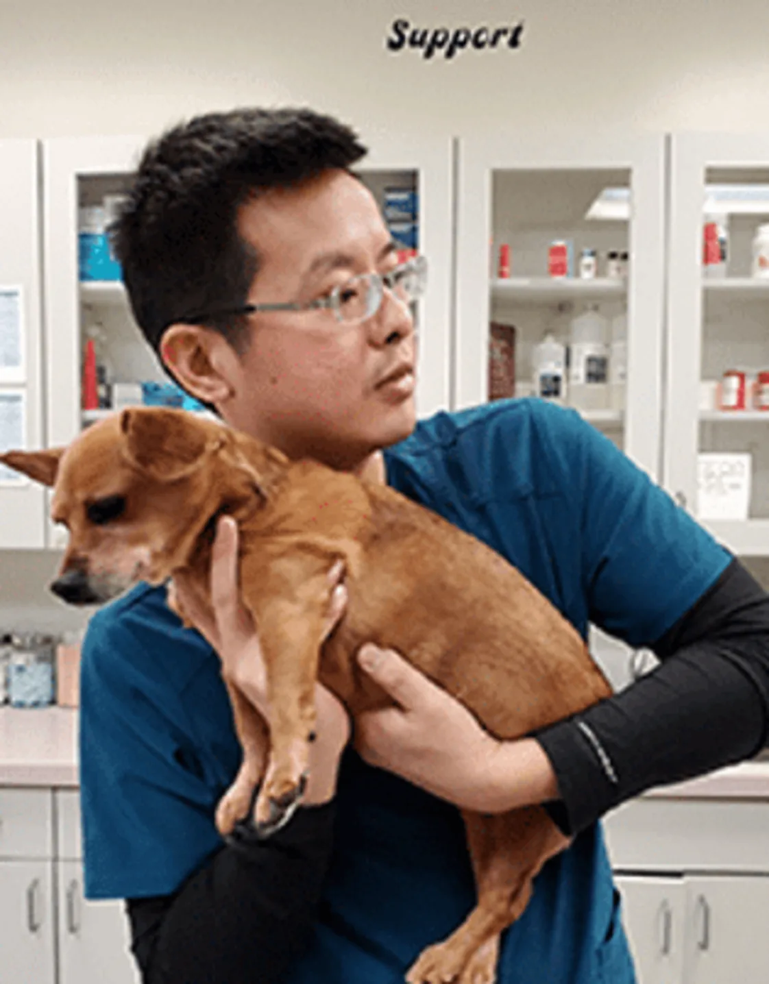 Dr. Chang with a dog Dr. Chang with a dog