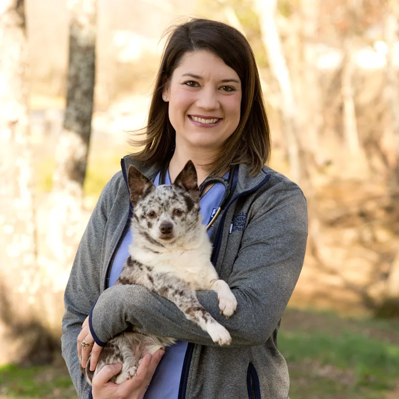 Valley Animal Hospital & Pet Resort - Dr. Katherine Roeder - DVM Valley Animal Hospital & Pet Resort - Dr. Katherine Roeder - DVM