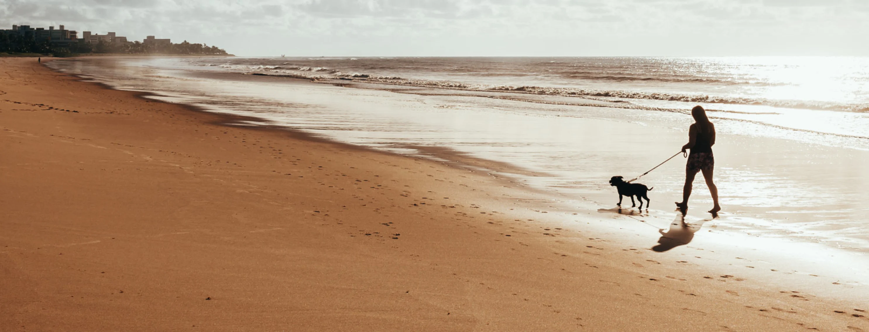 Woman walking dog along sandy beach Woman walking dog along sandy beach