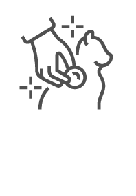 Cat Diagnostics Icon