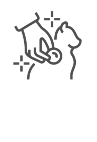 Cat Diagnostics Icon Cat Diagnostics Icon