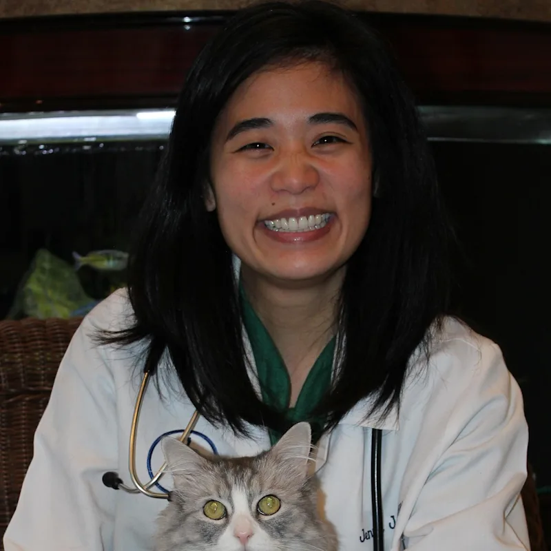 Jenny Jong holding cat Jenny Jong holding cat
