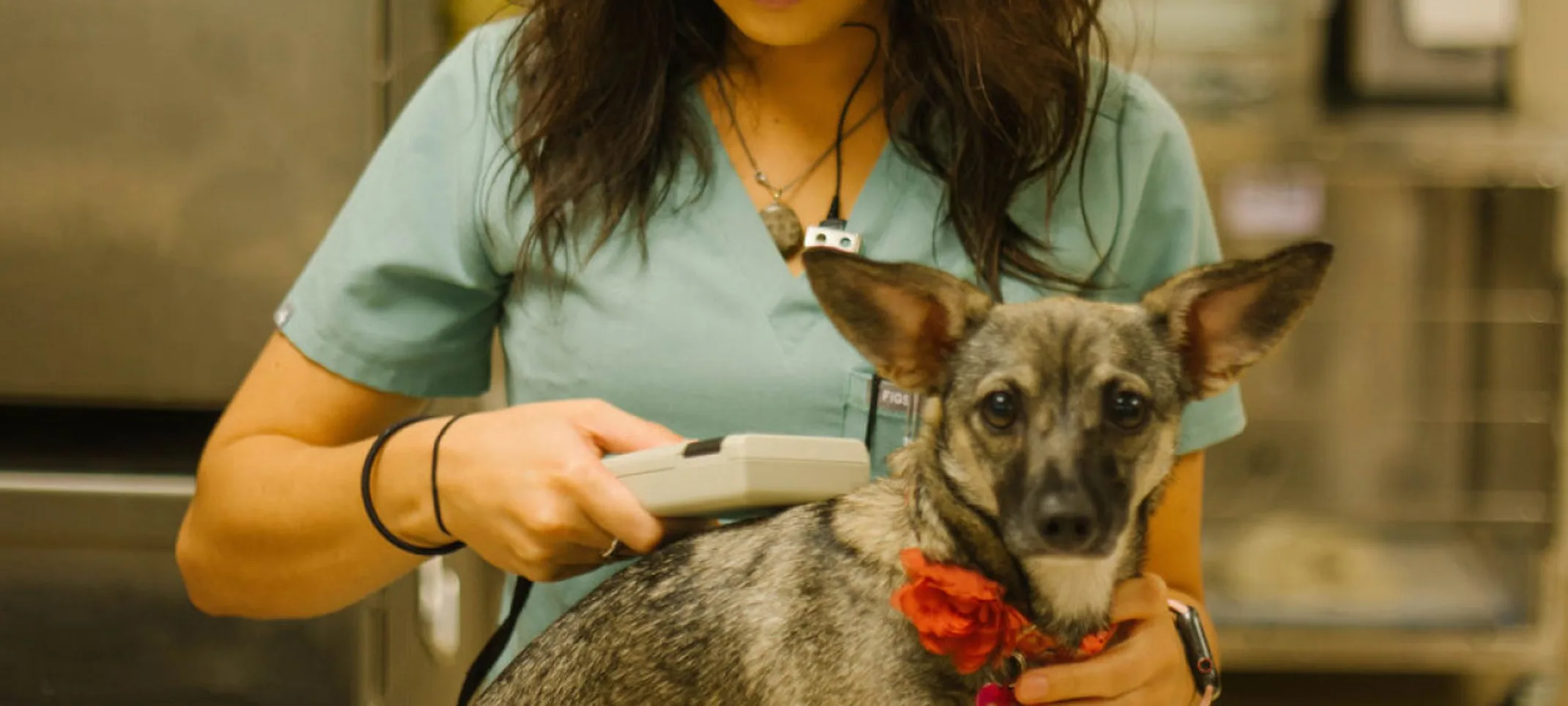 Woman with small dog. Woman with small dog.