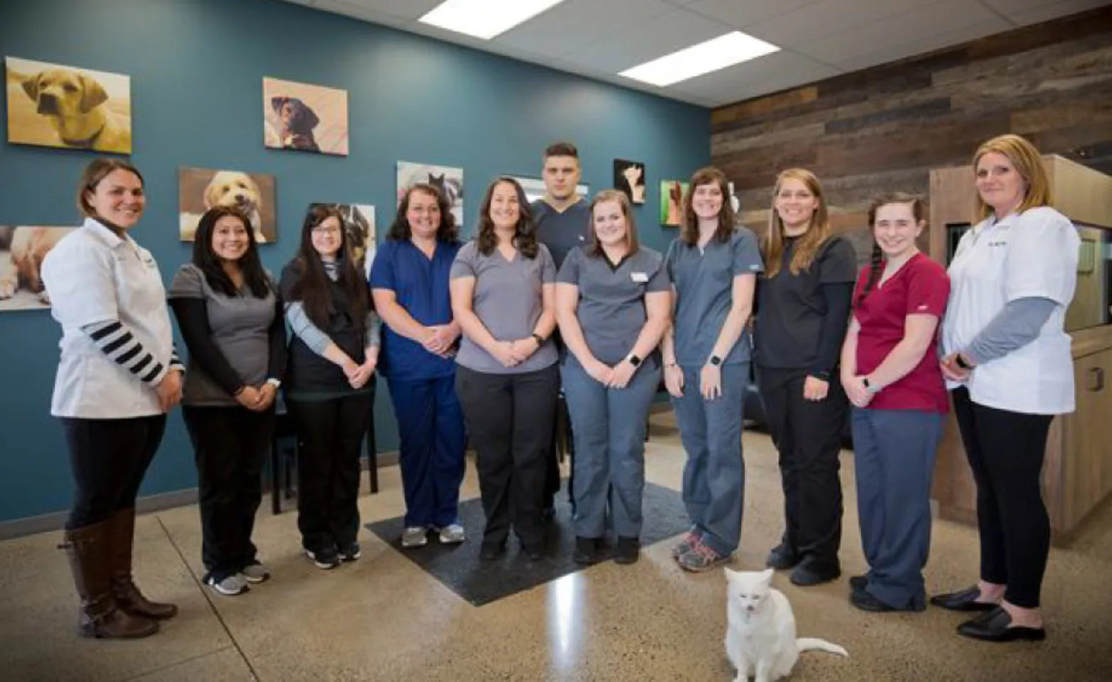 Staff standing next to each other at Sequoia & Woodburn Veterinary Clinics 