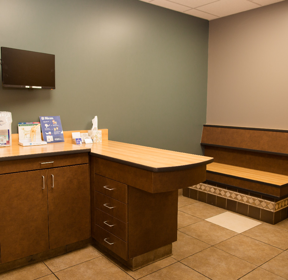 Exam room at Kindness Animal Hospital 