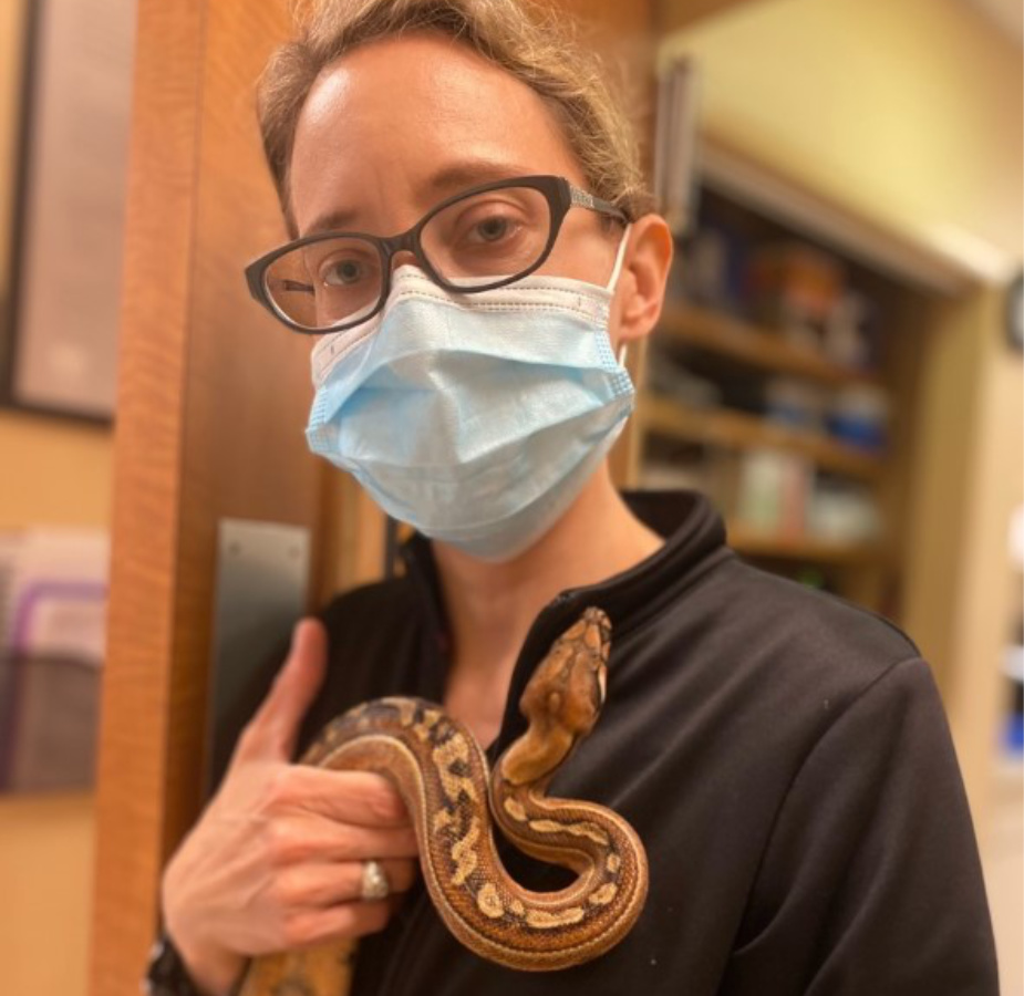 Veterinarian with a mask on holding a snake