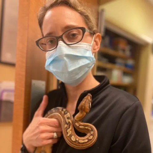 Veterinarian with a mask on holding a snake