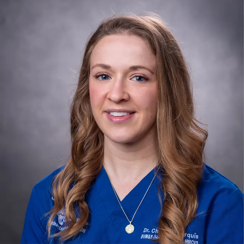 Charlotte Marquis Charlotte Marquis