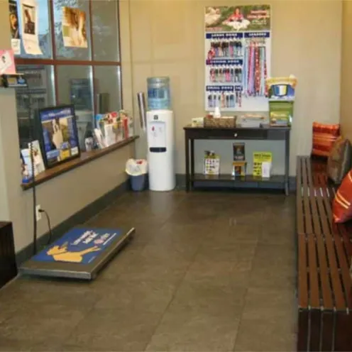 Table Mountain Veterinary Clinic Waiting Area Table Mountain Veterinary Clinic Waiting Area