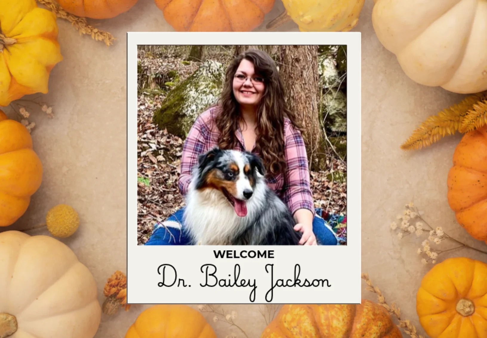 Welcome Dr. Bailey Jackson to Animal Hospital of Signal Mountain Welcome Dr. Bailey Jackson to Animal Hospital of Signal Mountain