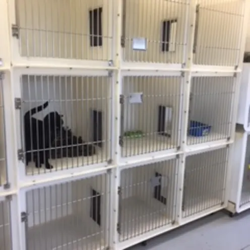 Countryside Pet Clinic kennels