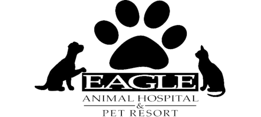 Eagle Animal Hospital and Pet Resort