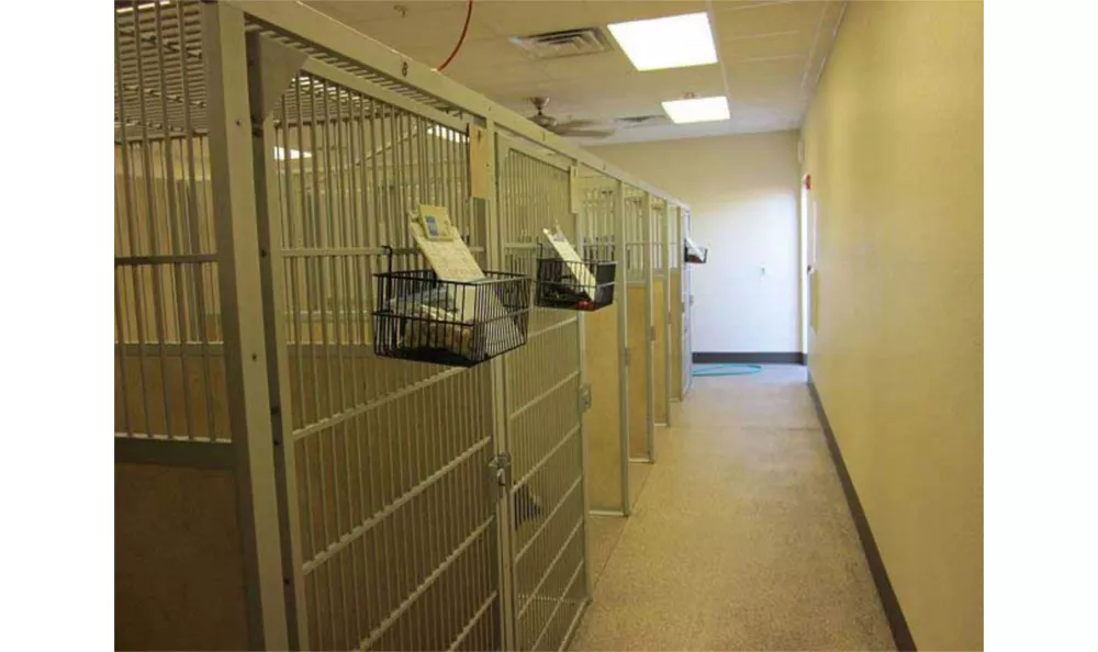 Kennel