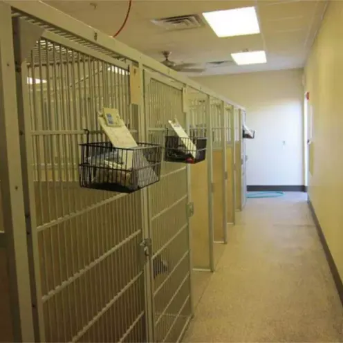 Kennel Kennel
