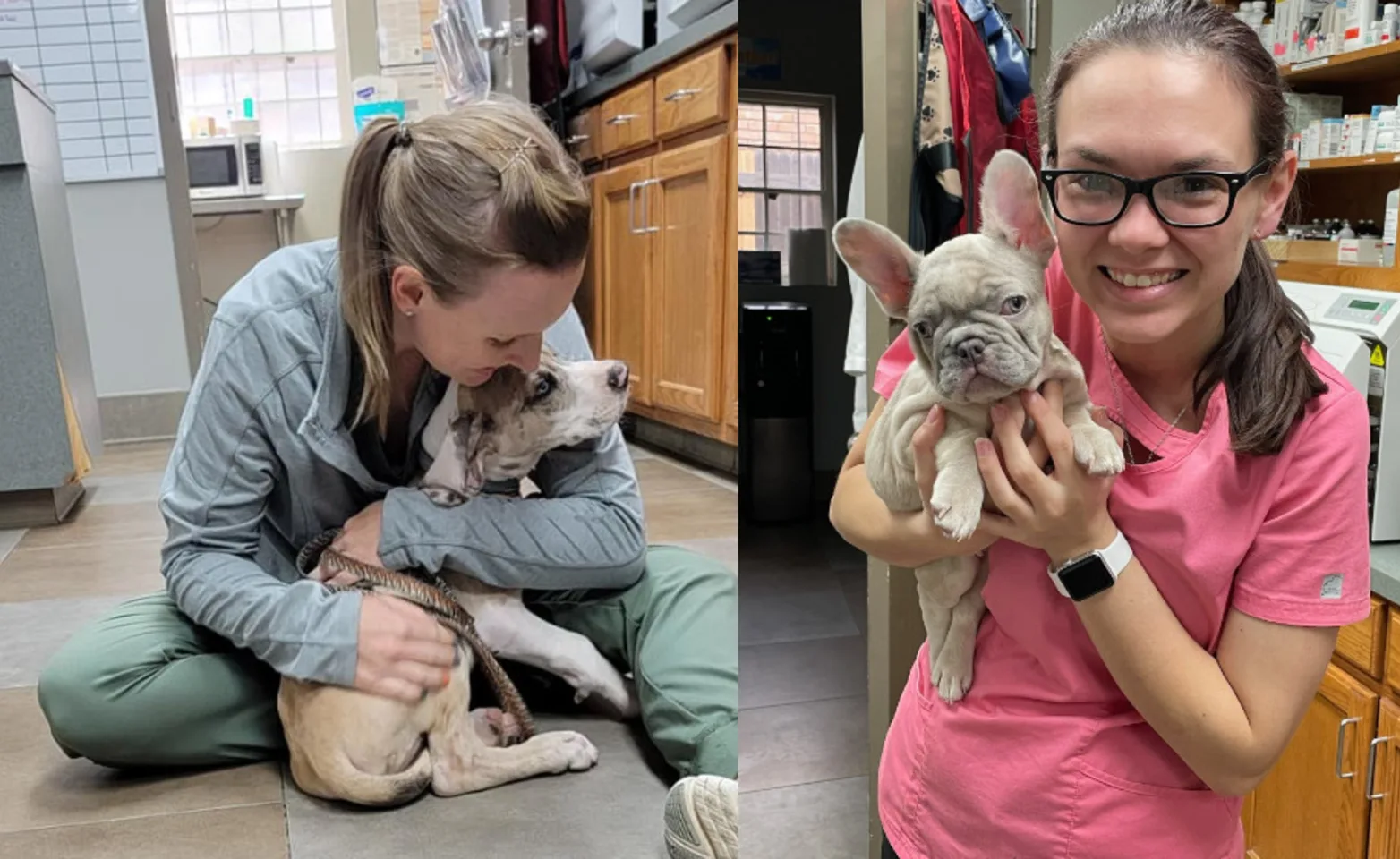 Two Veterinarians Hugging Dogs Two Veterinarians Hugging Dogs