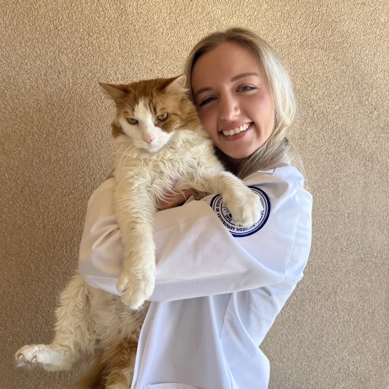 Jessica M. Maxwell Jessica M. Maxwell