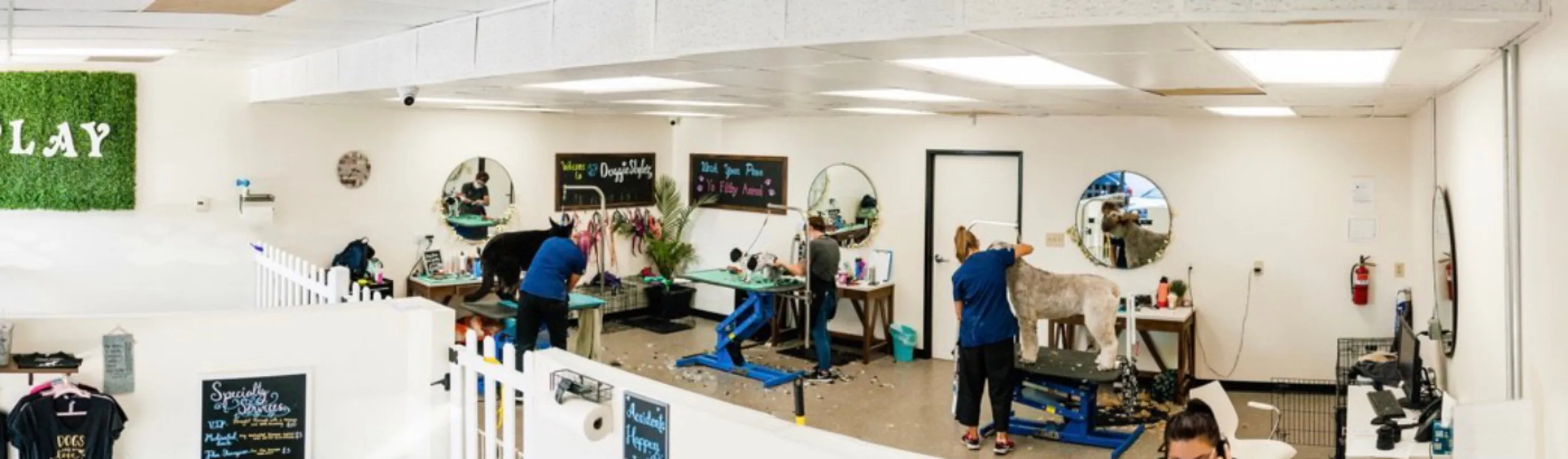 Interior of Doggiestylez, grooming salon