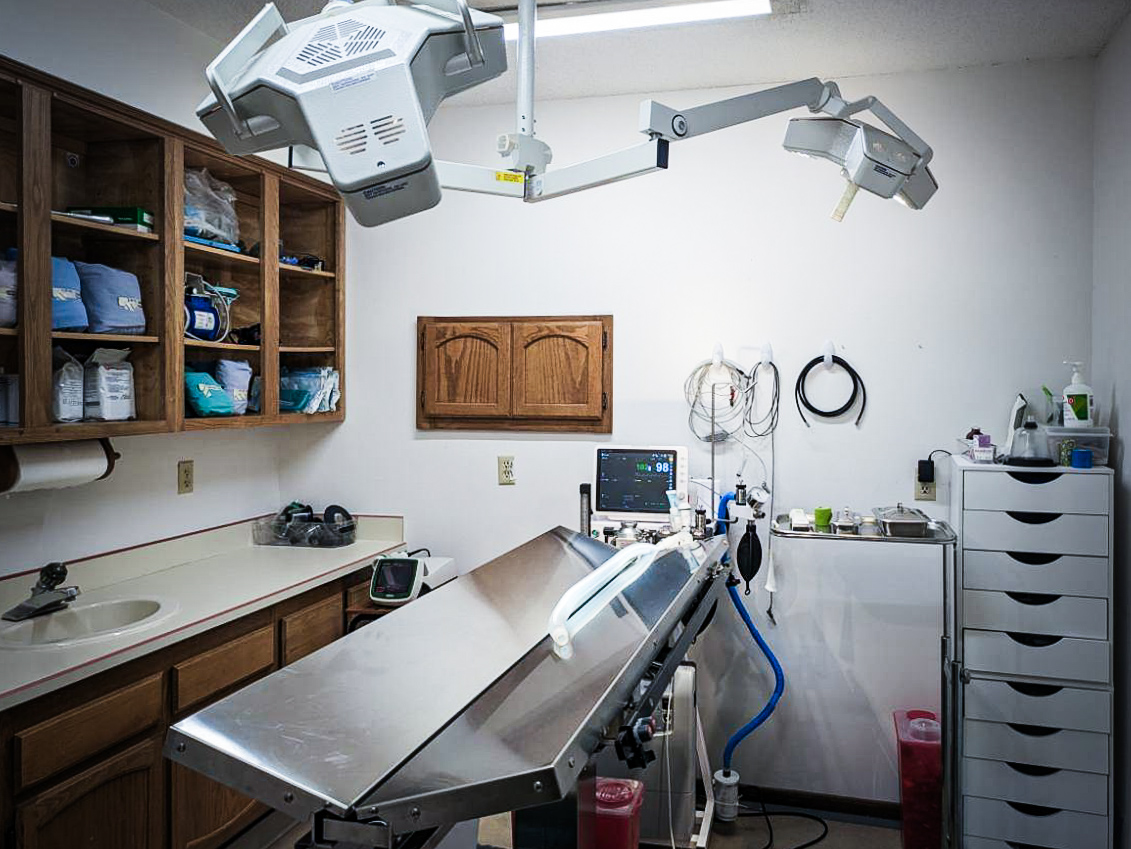 Surgical area