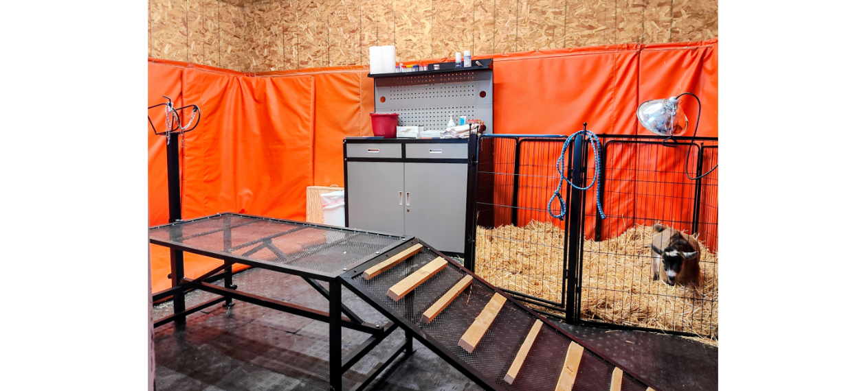 Goat & Sheep Room
