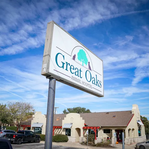 Great Oaks Animal Hospital roadside sign Great Oaks Animal Hospital roadside sign
