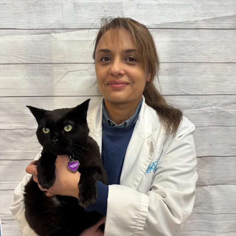 Dr. Nancy Abdelmalak Dr. Nancy Abdelmalak