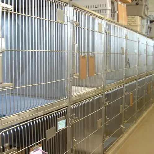 Windhaven Veterinary Hospital Boarding Area and kennels Windhaven Veterinary Hospital Boarding Area and kennels