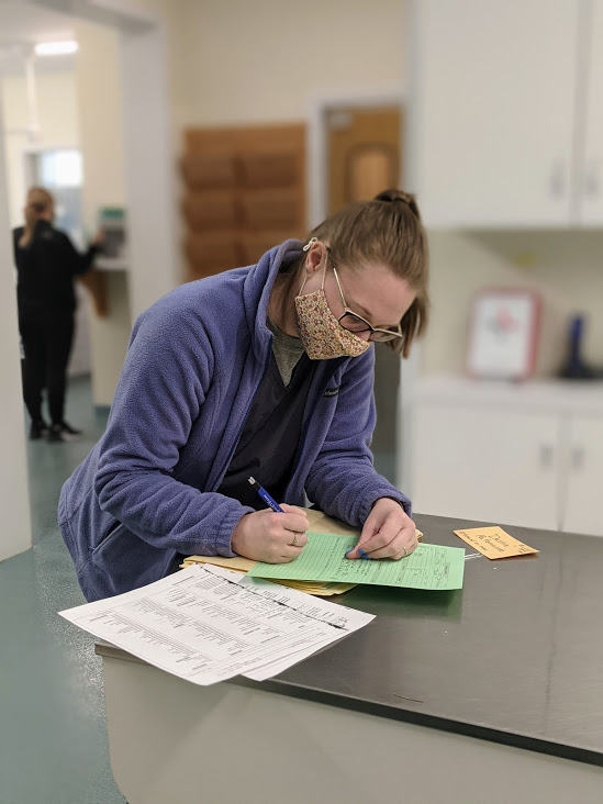 Staff wearing a mask and filling out paperwork