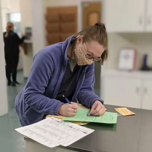 Staff wearing a mask and filling out paperwork