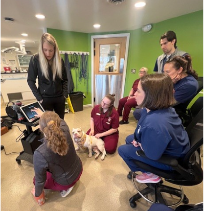 Technicians with patient and laser therapy machine