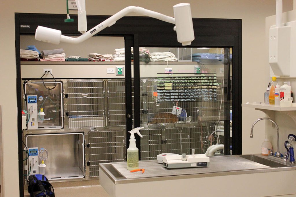 A look at one of our hospital rooms