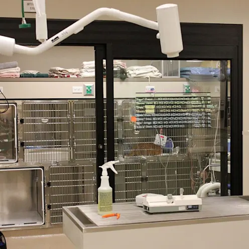 A look at one of our hospital rooms A look at one of our hospital rooms