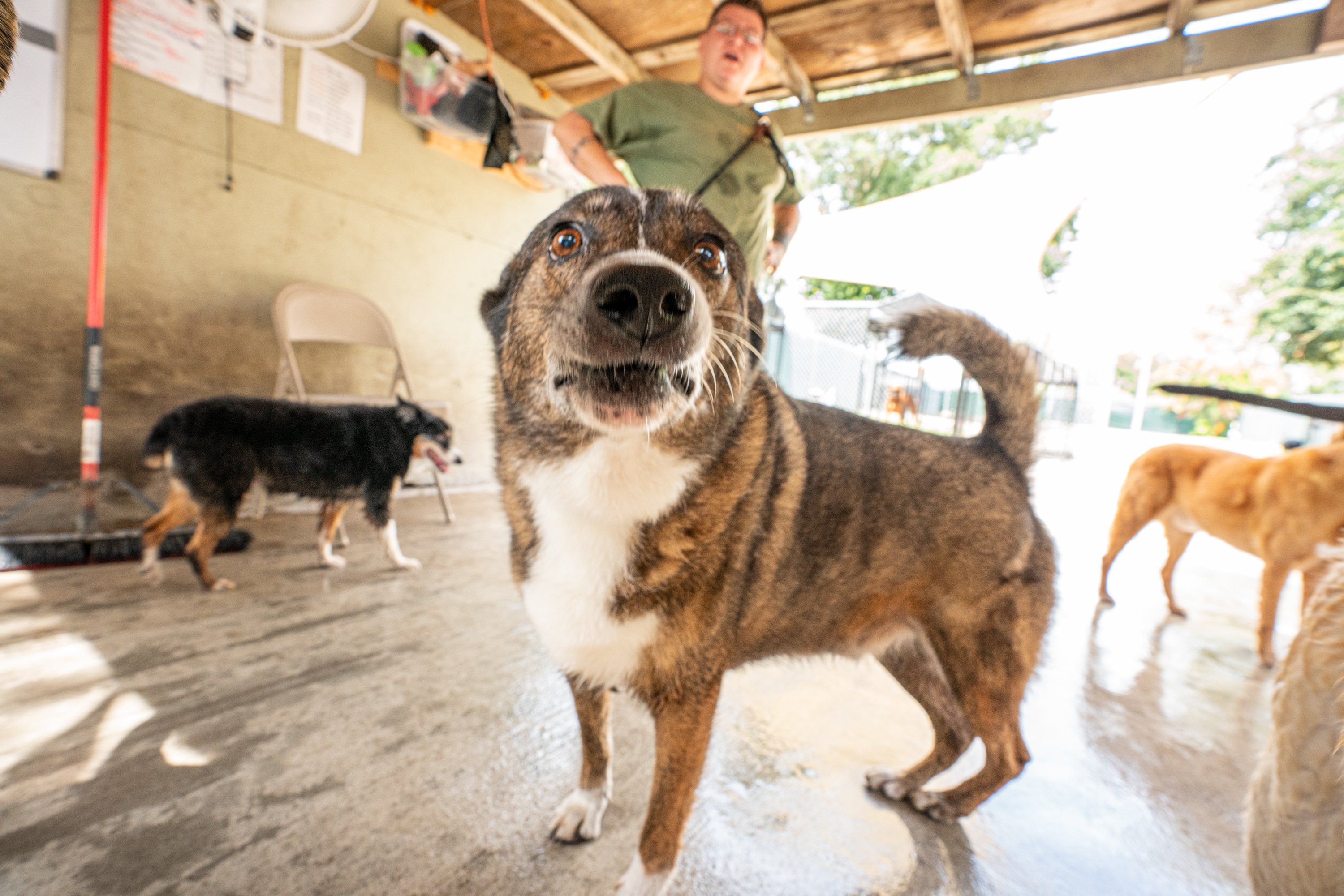 Advantage Pet Center Our Happy Client