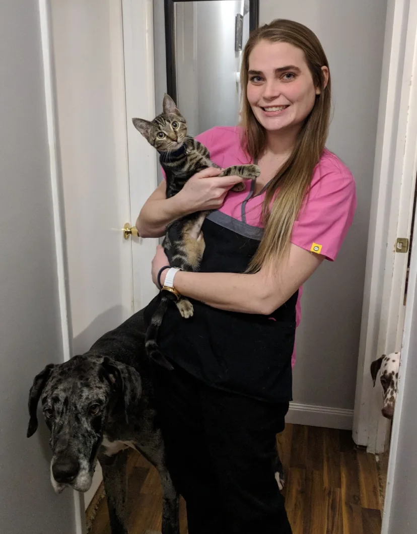 College Mall Veterinary Hospital Ally with cat and large dog
