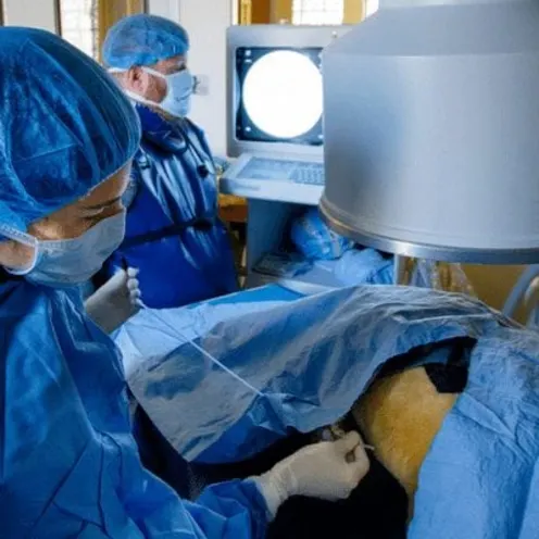 Fluoroscopy Fluoroscopy