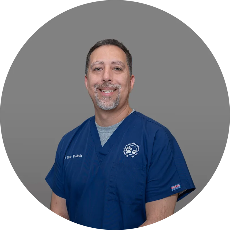 Southlake Crossing Animal Clinic Dr. Mike Valdivia Southlake Crossing Animal Clinic Dr. Mike Valdivia