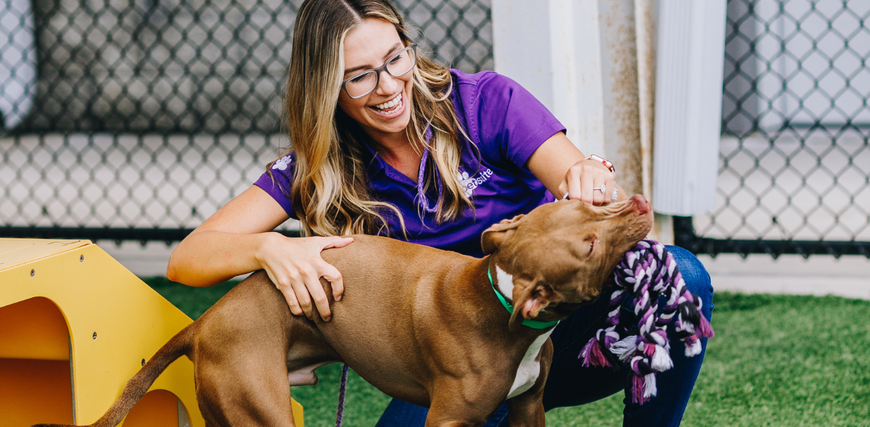 A PetSuites staff member plays with a dog. 