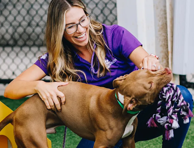 A PetSuites staff member plays with a dog. A PetSuites staff member plays with a dog.