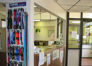 Carlsbad Animal Clinic Front Desk