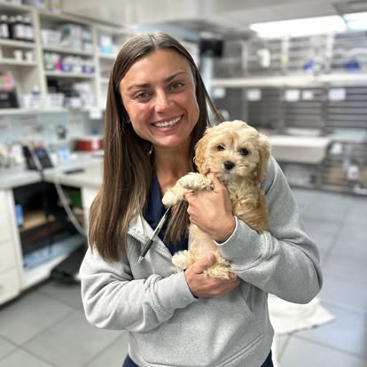Dr. Hennessey Holding a Brown Puppy