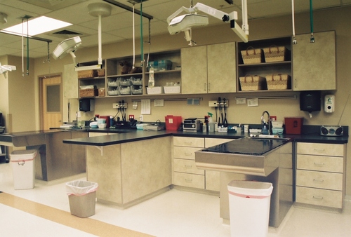 University Salt Lake Treatment