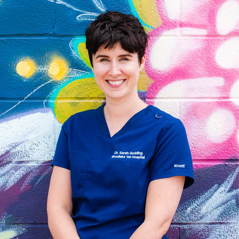 Dr. Sarah Godding Dr. Sarah Godding